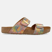 Corkmulti Rainbow