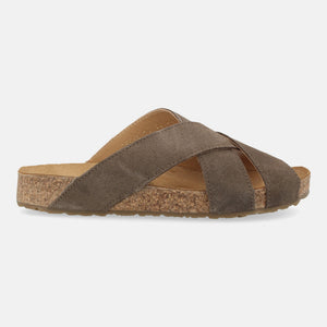 Taupe