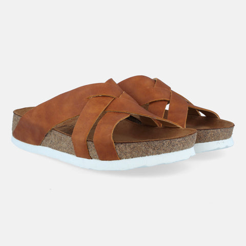 Haflinger Bio Bo