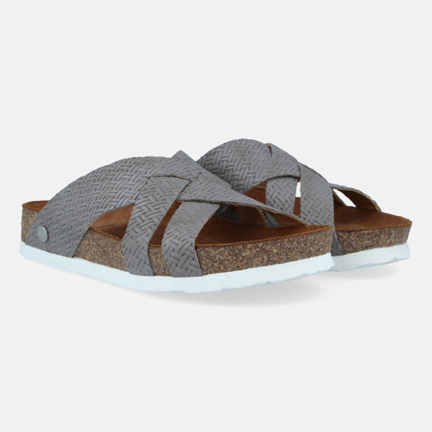 Haflinger Bio Bo