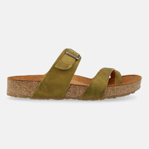Country Oliv