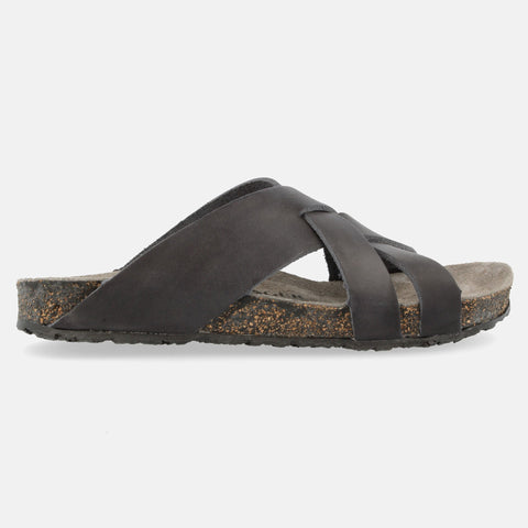 Haflinger Bio Bo